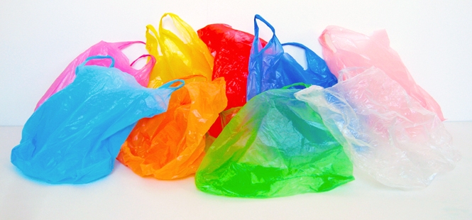Imagen de la noticia REDUCCIÓN DEL CONSUMO DE BOLSAS DE PLÁSTICO REDUCCIÓN DEL CONSUMO DE BOLSAS DE PLÁSTICO